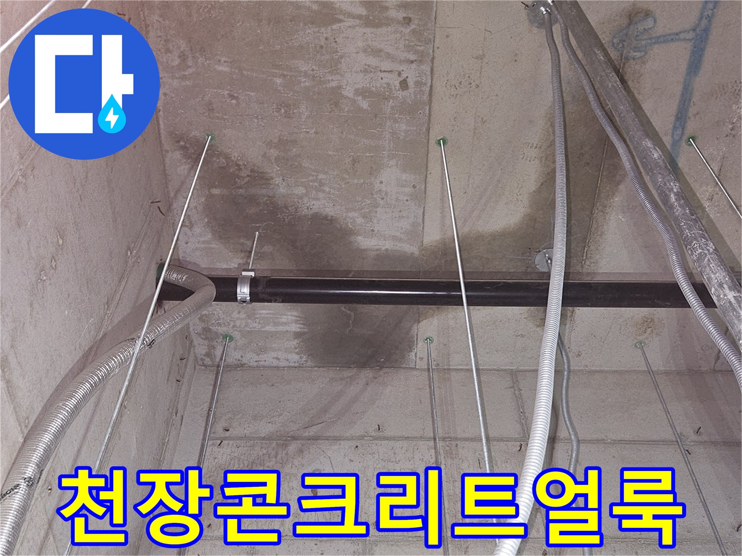 영덕동 지하 창고-물샘으로 인해 변색된 천장 콘크리트 표면