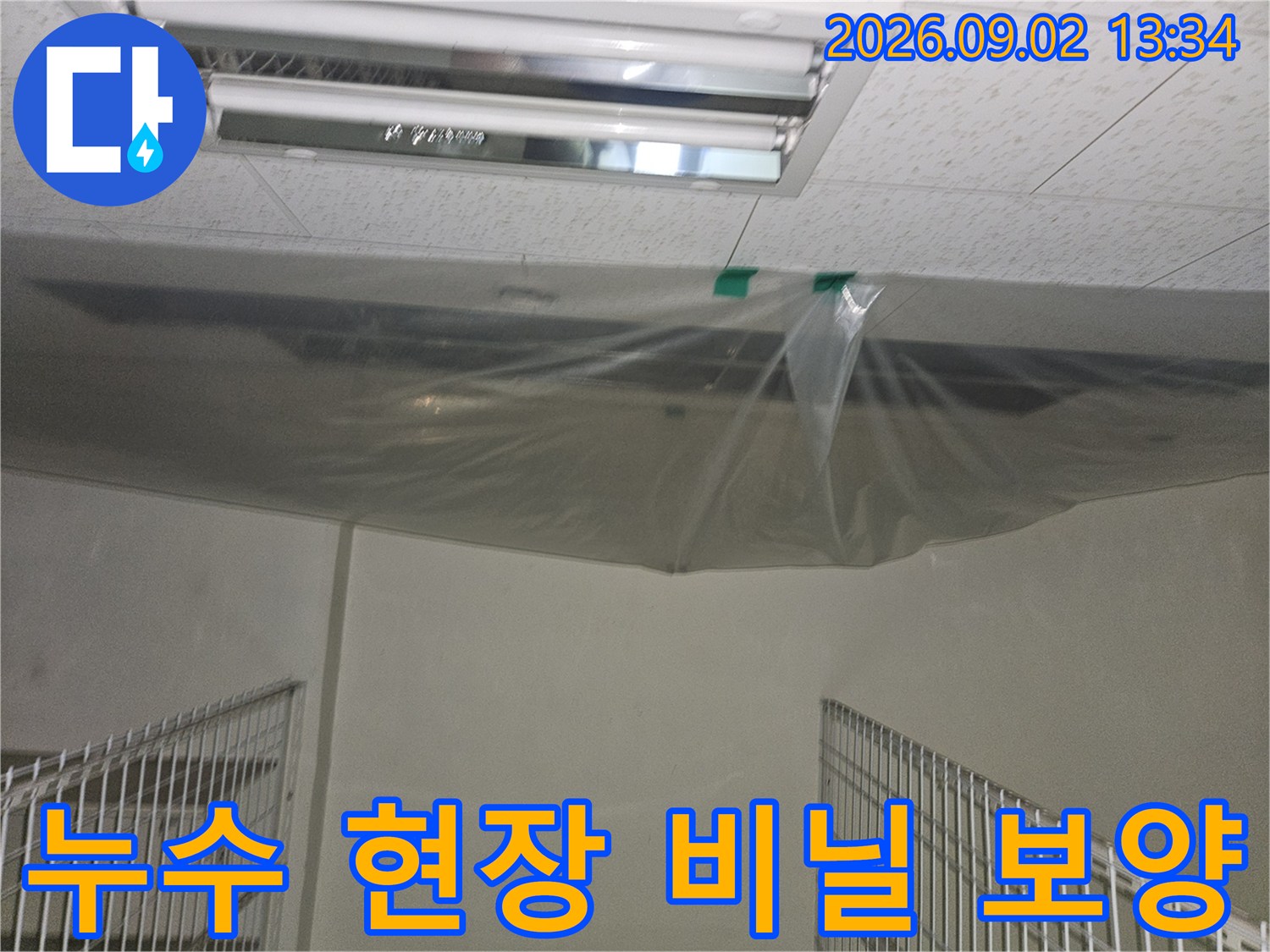 천장 누수 부위의 오염 방지를 위해-비닐을 씌워 놓은 지하 창고 내부 모습입니다.