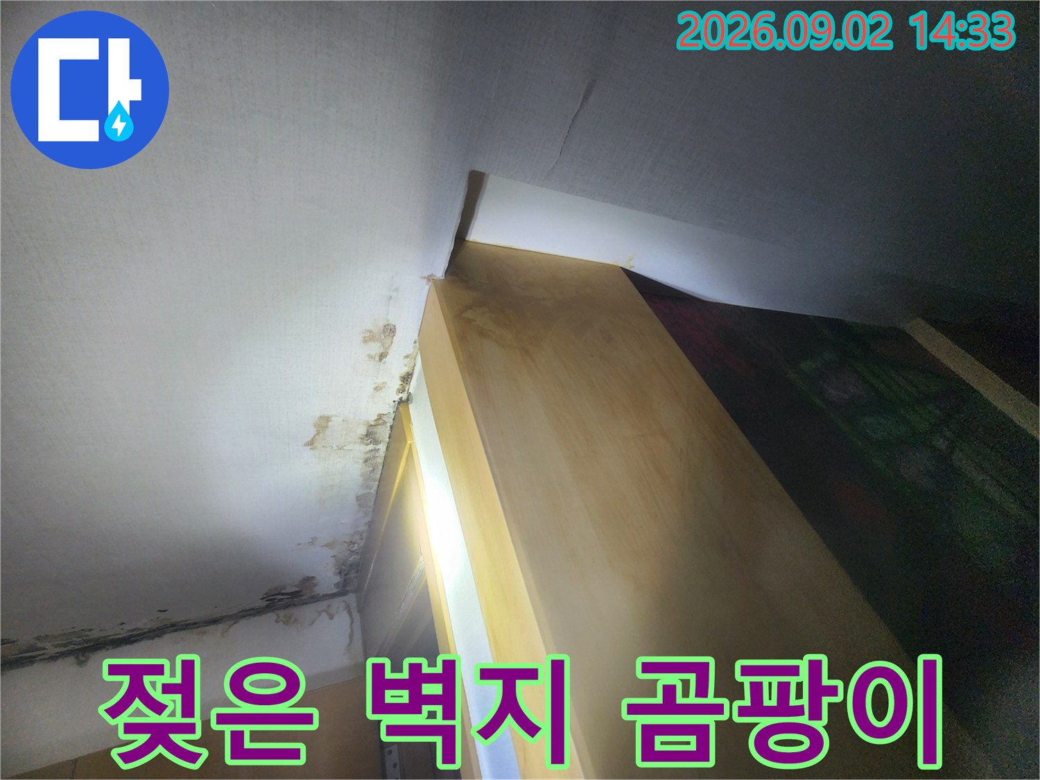 천장 모서리 부근의 습기로 인한 벽지 곰팡이와 얼룩 현상