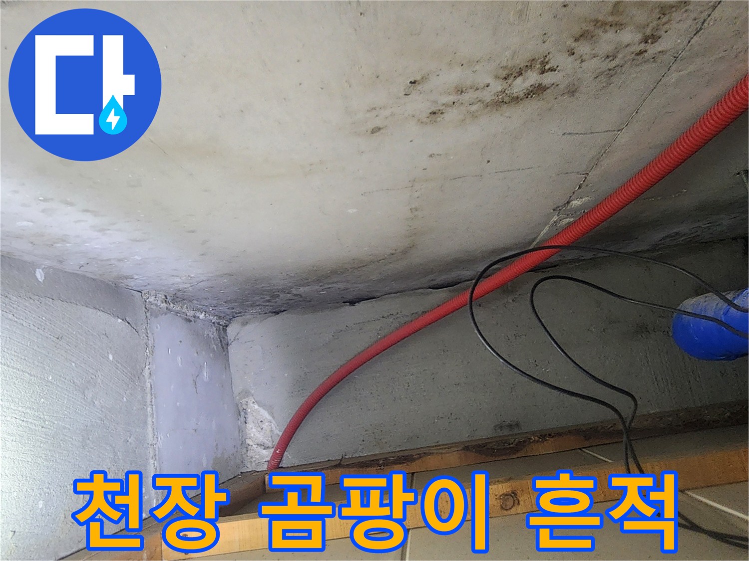천장 콘크리트 부위의 검은색 곰팡이와 습기 흔적