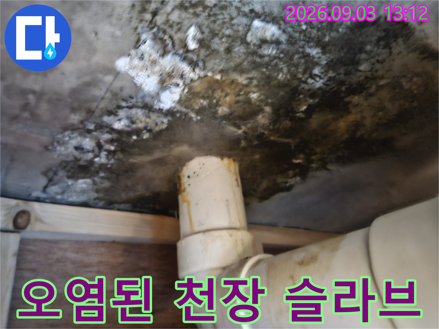 누수로 인한 곰팡이-심하게 오염된 천장 내부 상황