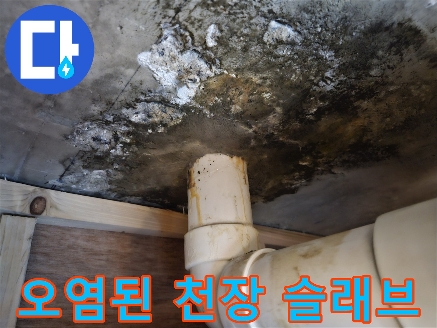 배수관-주변의-심각한-곰팡이와-콘크리트-변색