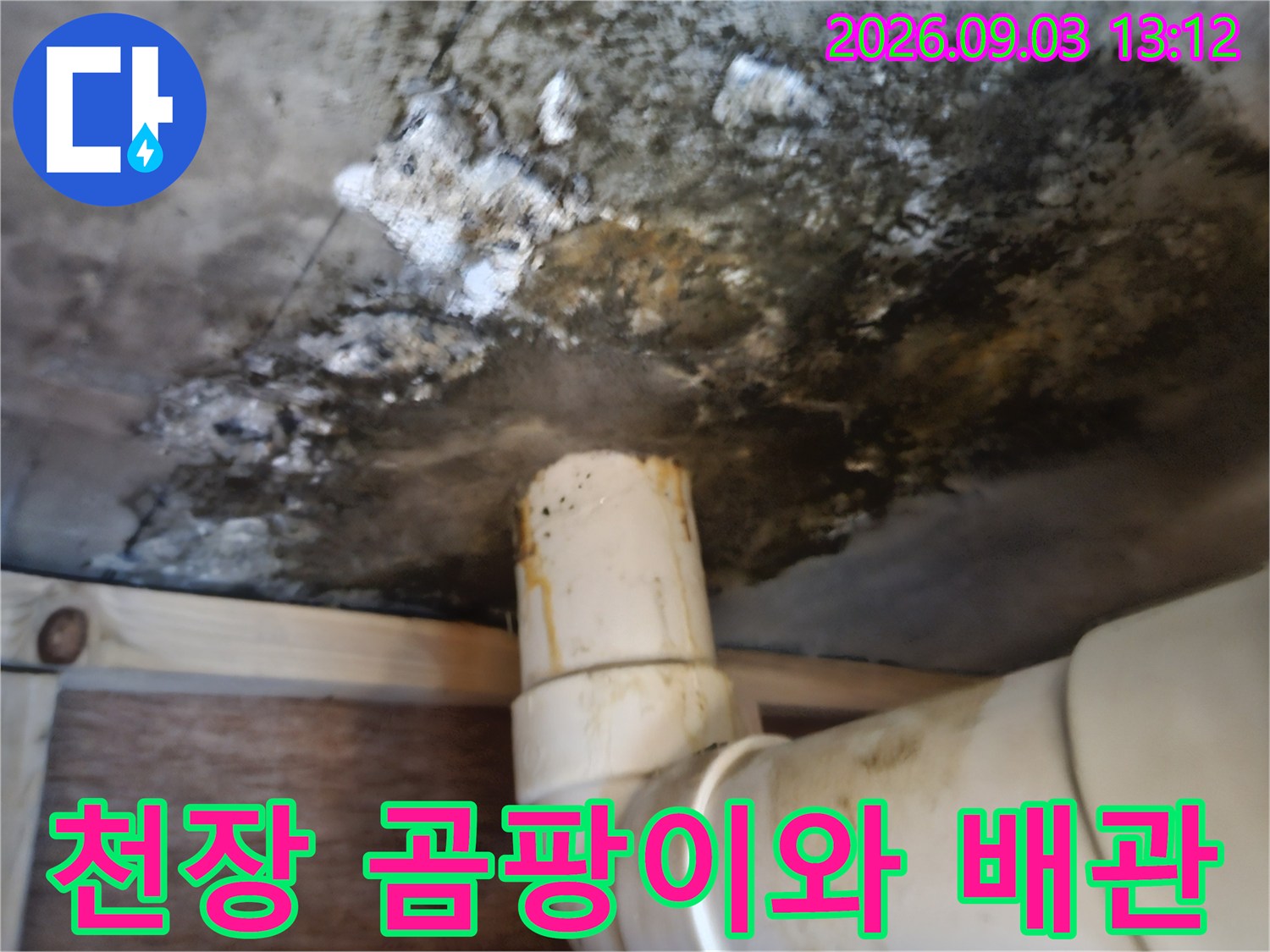욕실 천장 슬라브-곰팡이와 오염된 배관 상태