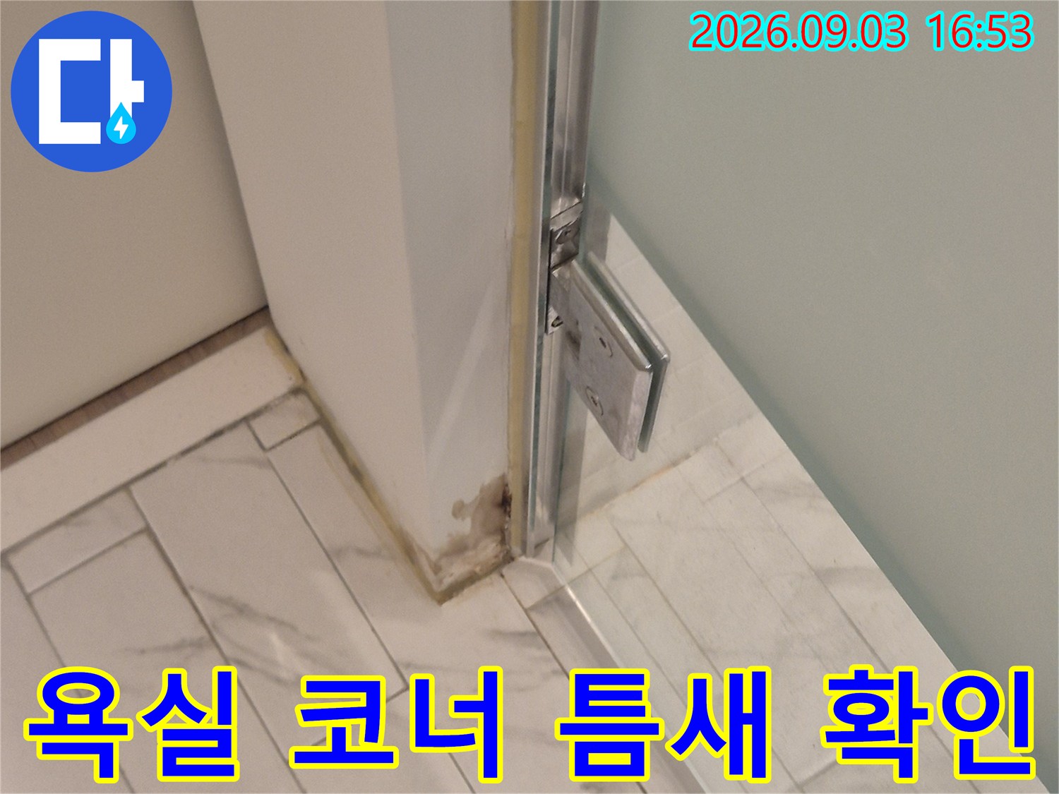 욕실 타일과 천장 경계면의 미세한 틈을 집중적으로 조사하고 있습니다.