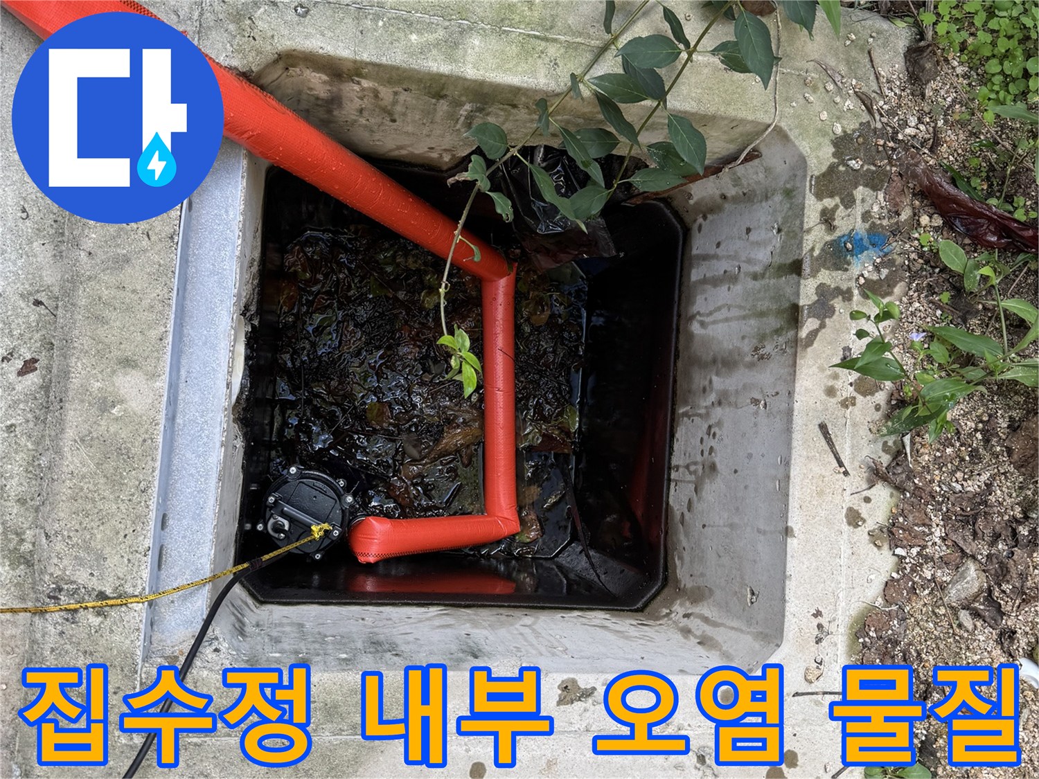 집수정-물속에-떠있는-부패한-오물과-슬러지