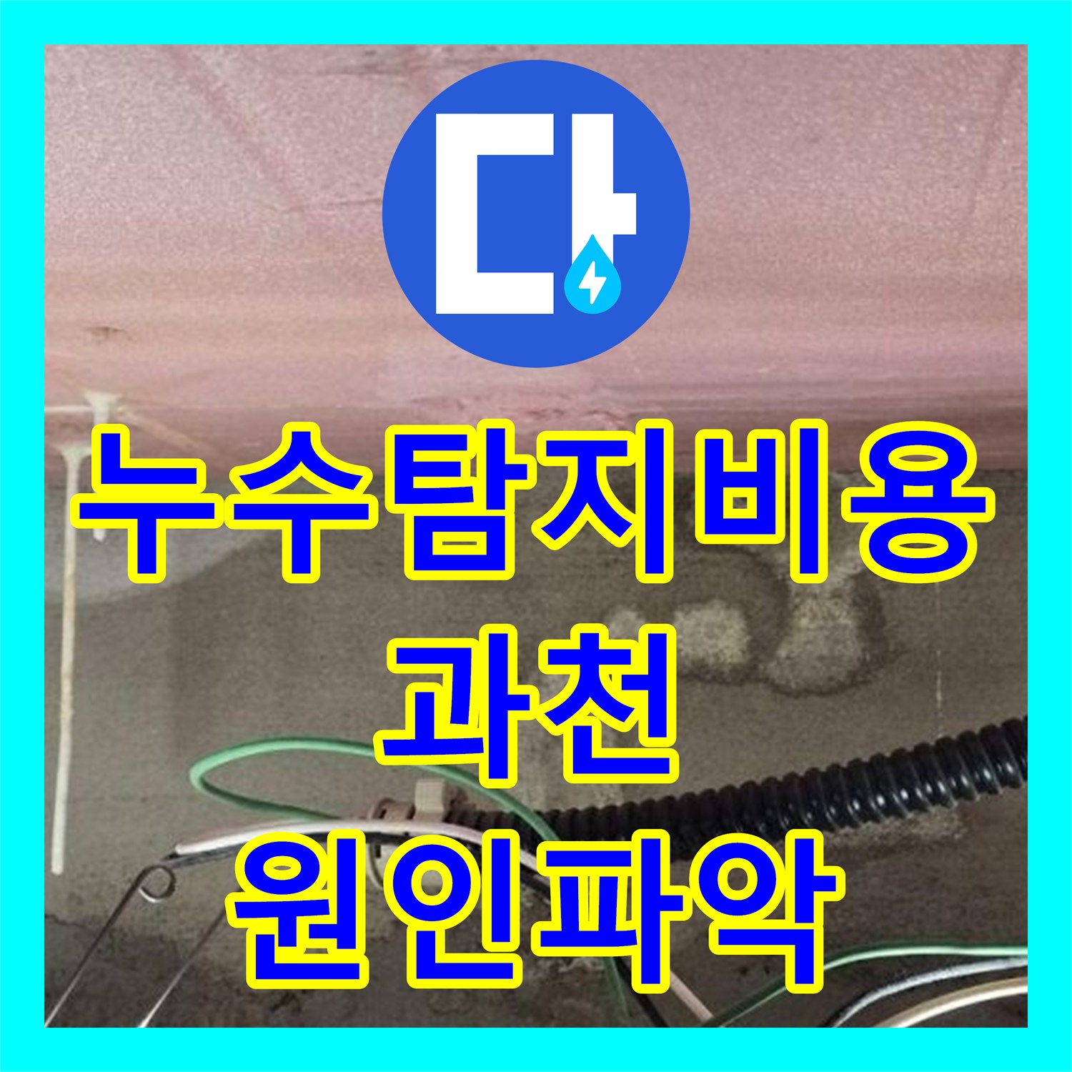 누수탐지비용 안내와 함께 진행한 욕실 천장 백화 현상 정밀 진단 경기 과천시 중앙동