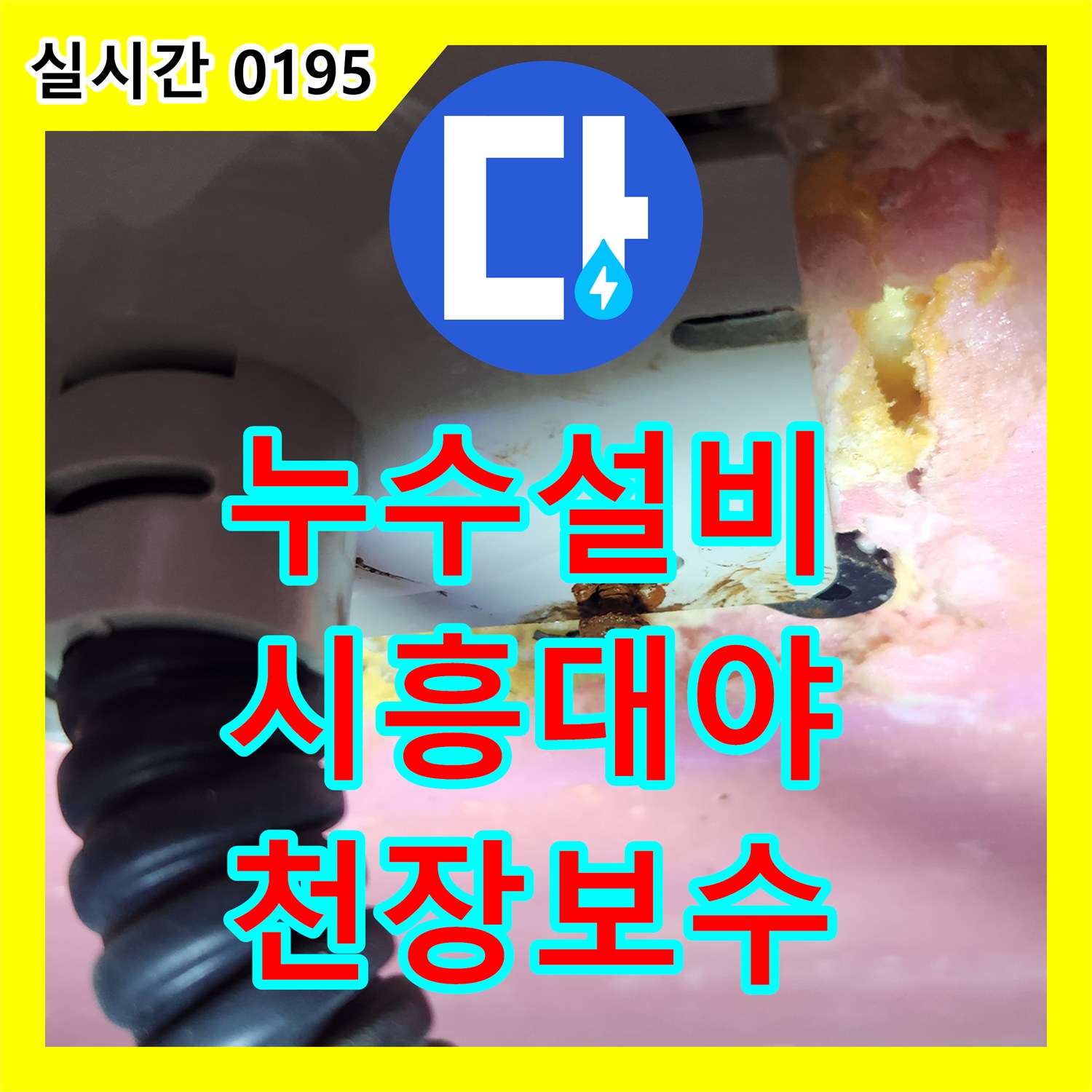 누수설비 안방 화장실 천장에서 간헐적으로 나타난 누수 원인을 분석하고 해결한 경기 시흥시 대야동