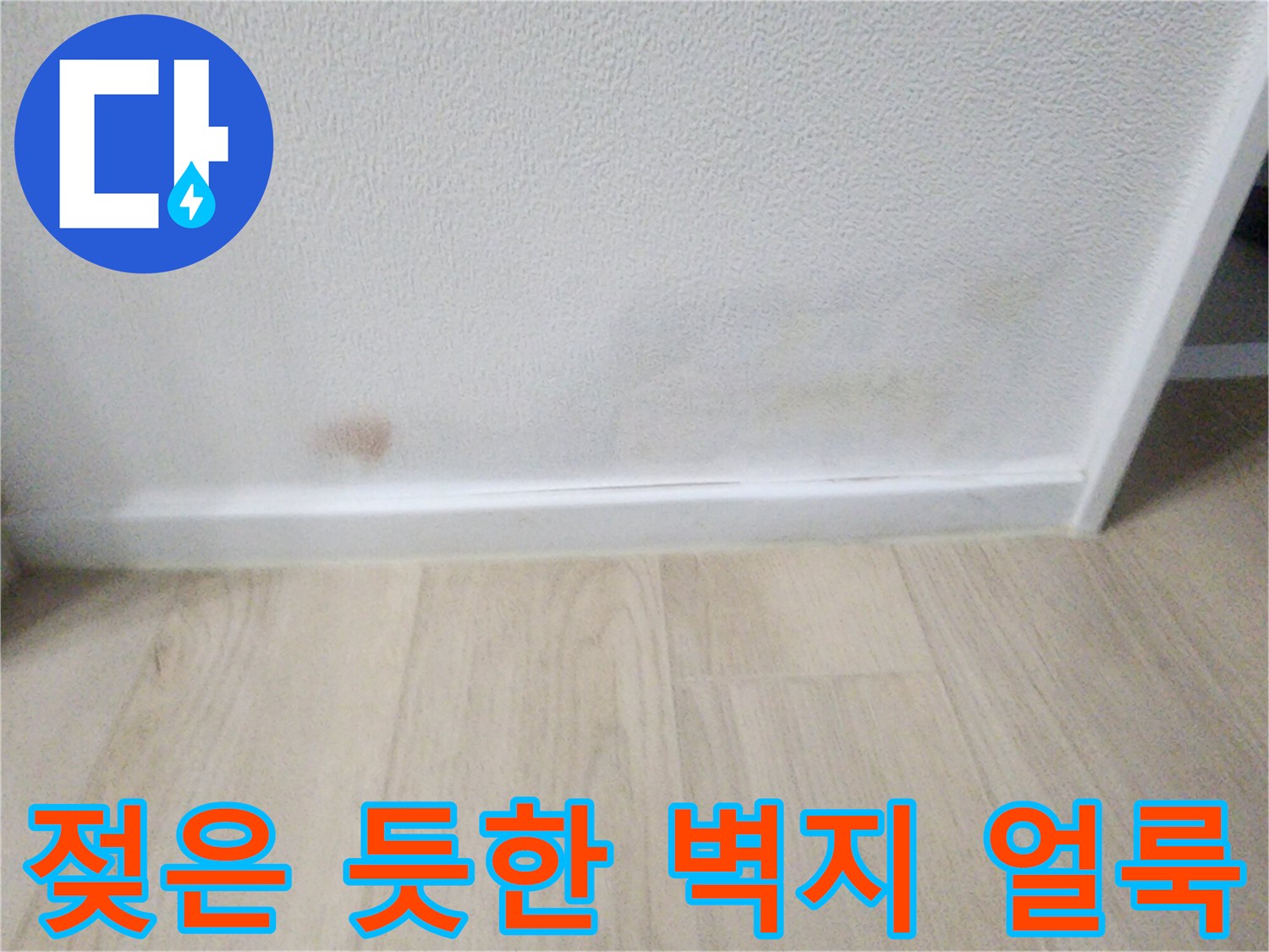 종암동 현장-벽면 하단부에 나타난 눅눅한 변색 흔적