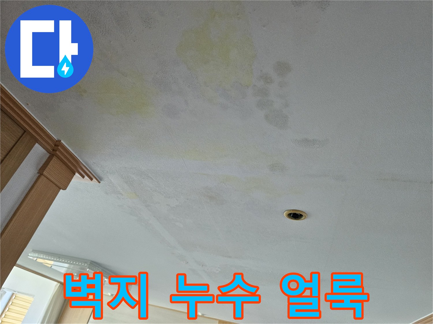 천장 벽지에 발생한 노란색 누수 자국과 습기 흔적