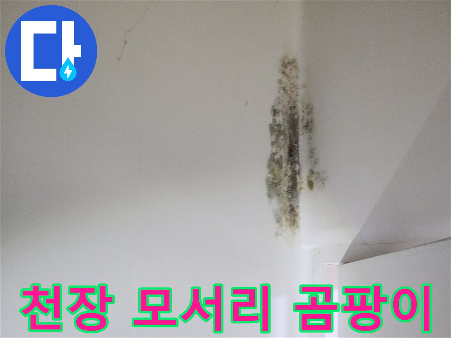 벽면과 천장 사이-습기로 인한 오염 상태