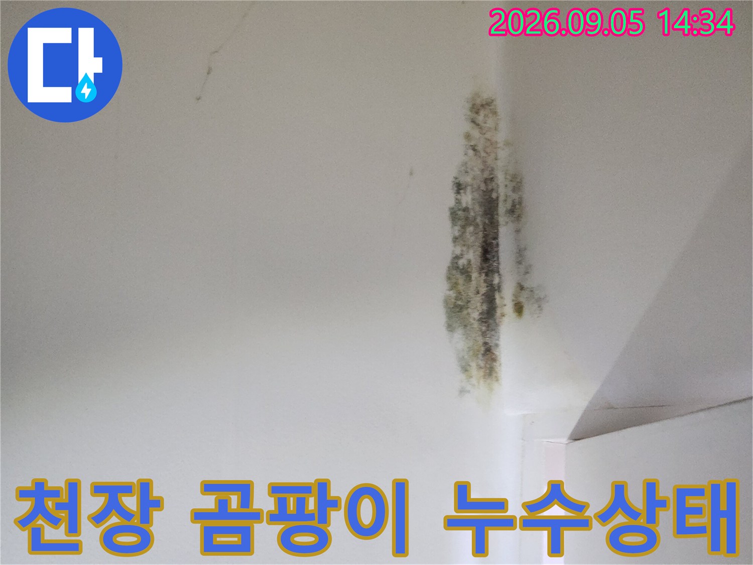 신사동 누수 현장-벽면 모서리 곰팡이와 벽지 변색
