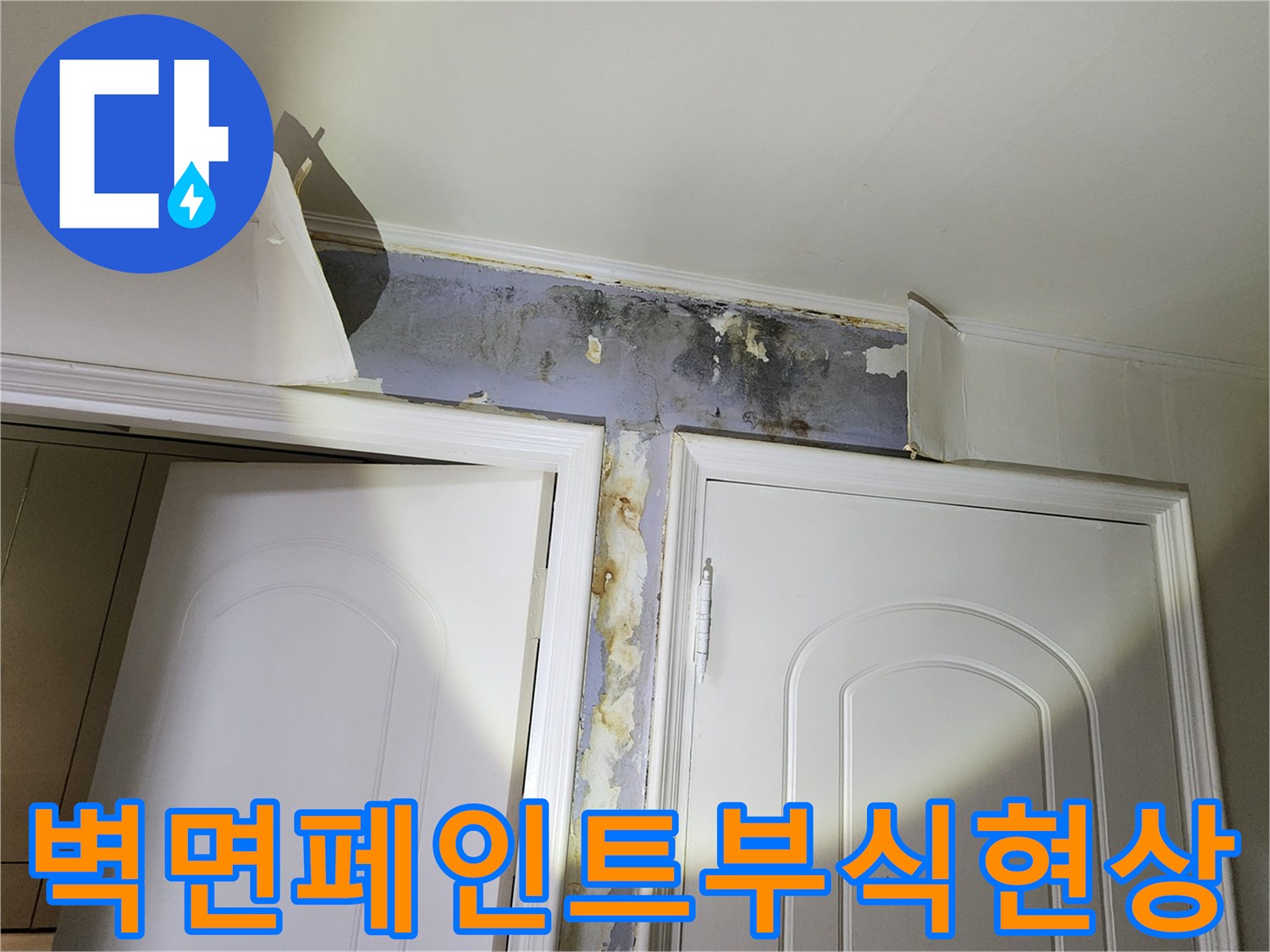 신사동-아랫집-벽면-페인트-벗겨짐과-습기-흔적