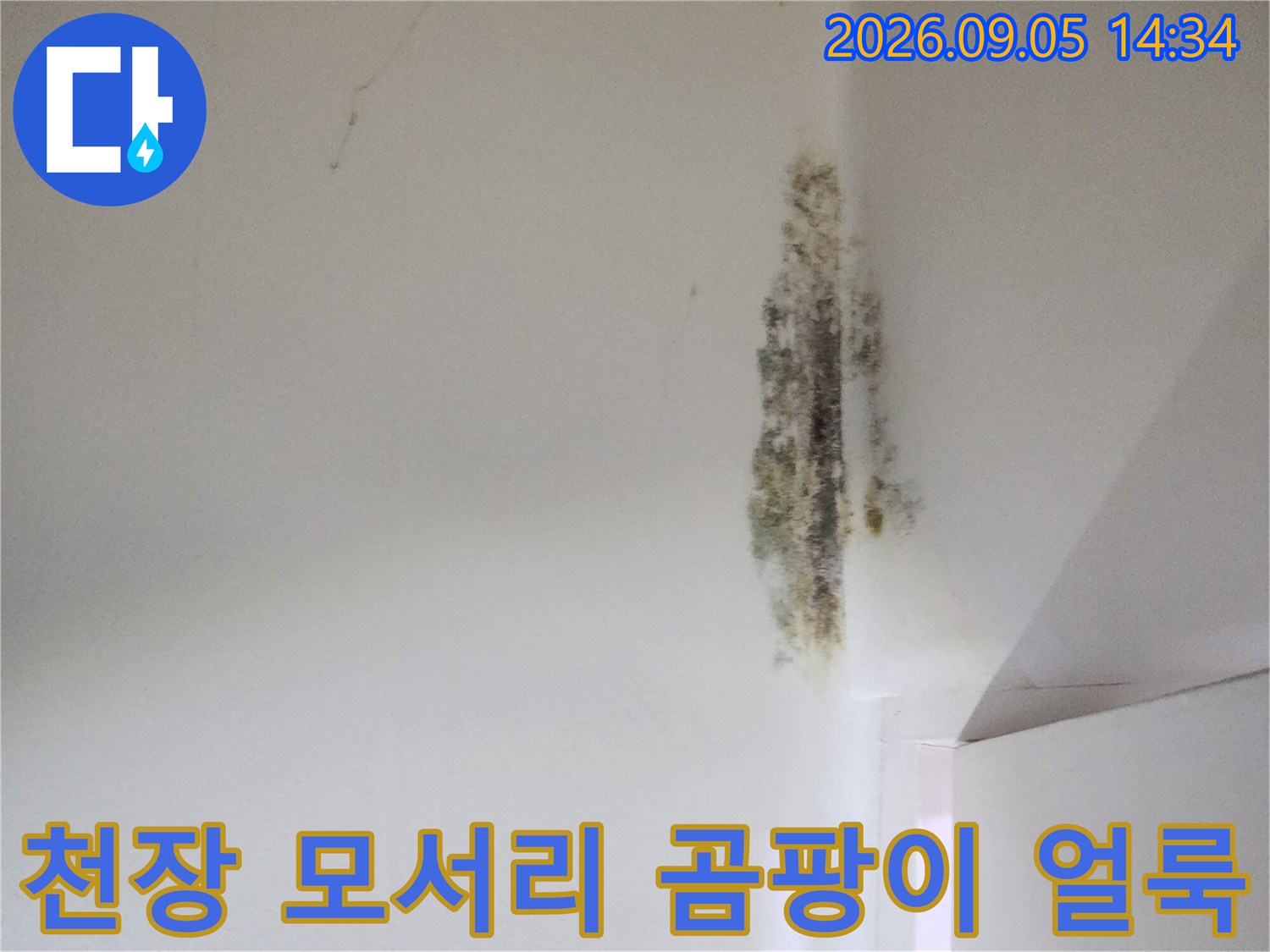 어둡게 변색된 천장 모서리의 곰팡이와 누수 흔적 상세 사진