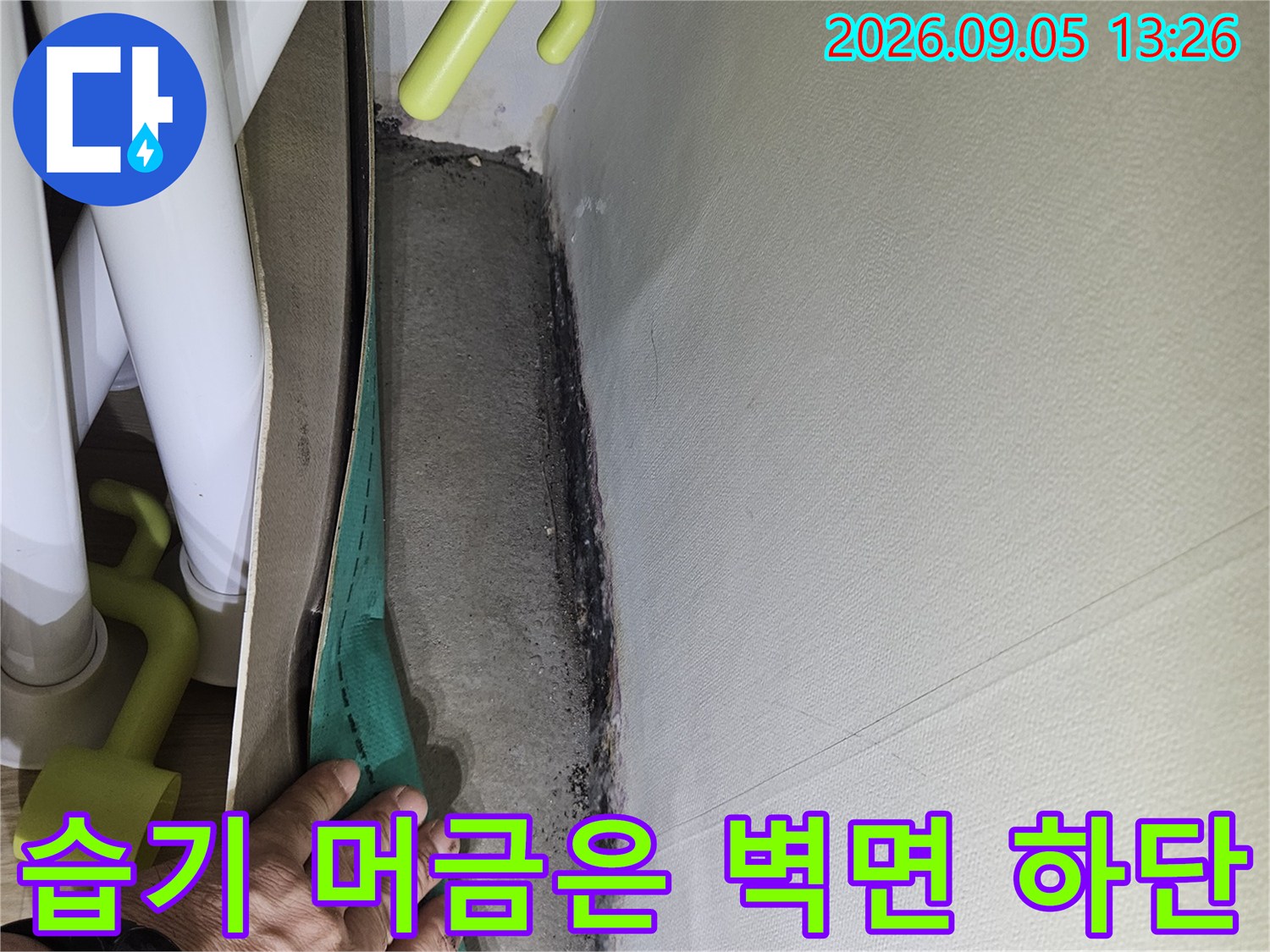 벽면 하단-배관 주변의 습기와 곰팡이 흔적 확인