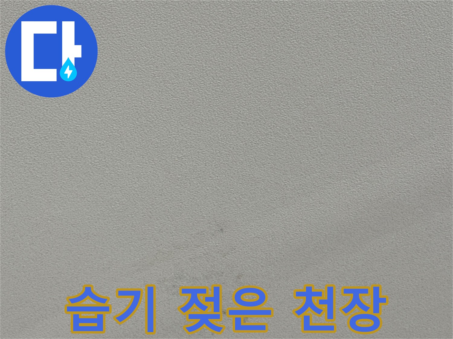 물샘 현상으로 인해 변색된 천장 표면과 곰팡이