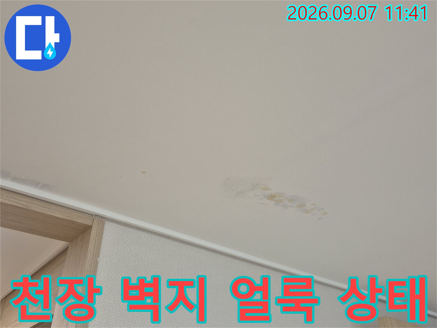 용인 수지구 동ভাবে 천장 벽지에 발생한 누수 흔적과 변색된 부위