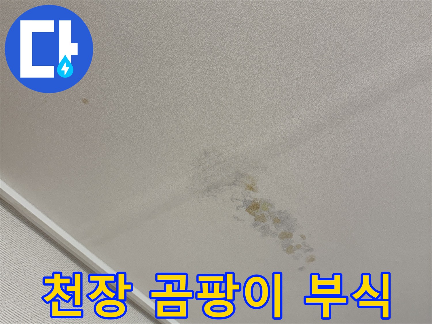 천장 벽면의 갈색 곰팡이와 습기로 인한 벽지 들뜸 현상