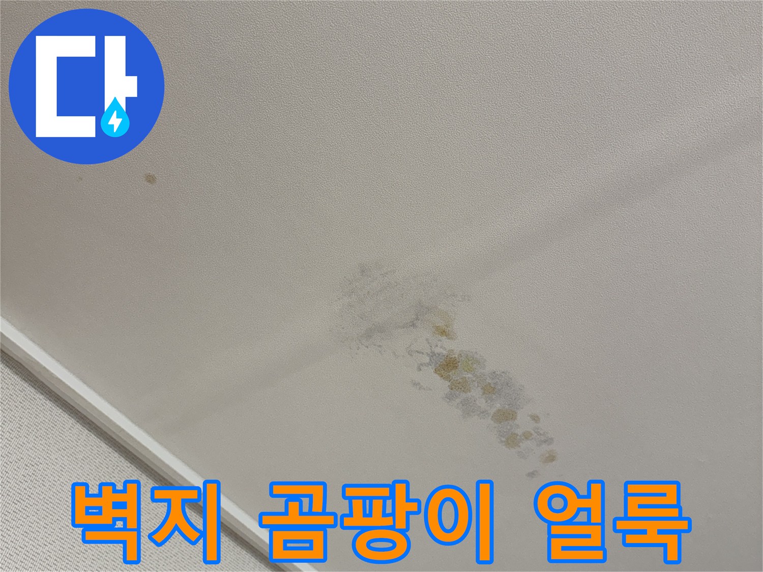 천장 벽지에 나타난 갈색 누수 흔적과 곰팡이 증상