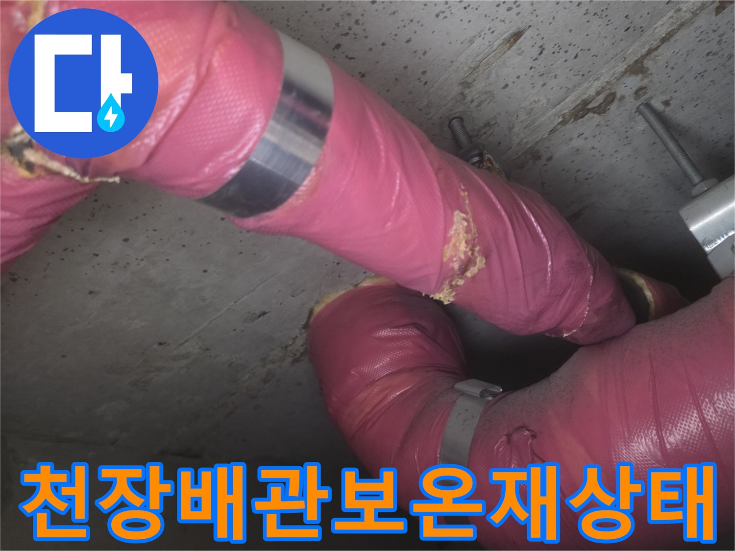 화장실 천장 내부-분홍색 보온재가 씌워진 배관의 모습