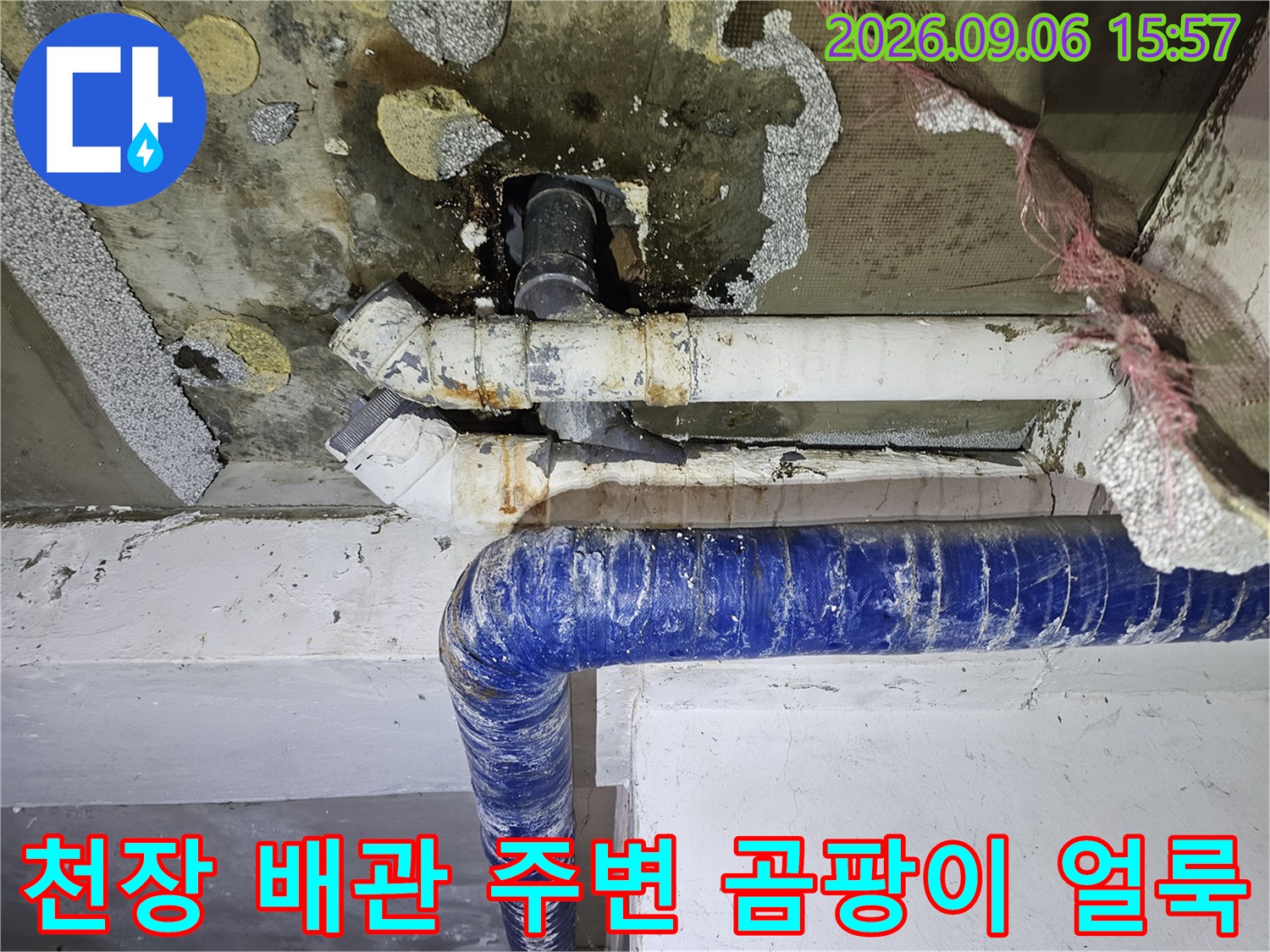 배관 주위 천장에 발생한 심한 곰팡이와 습기 흔적