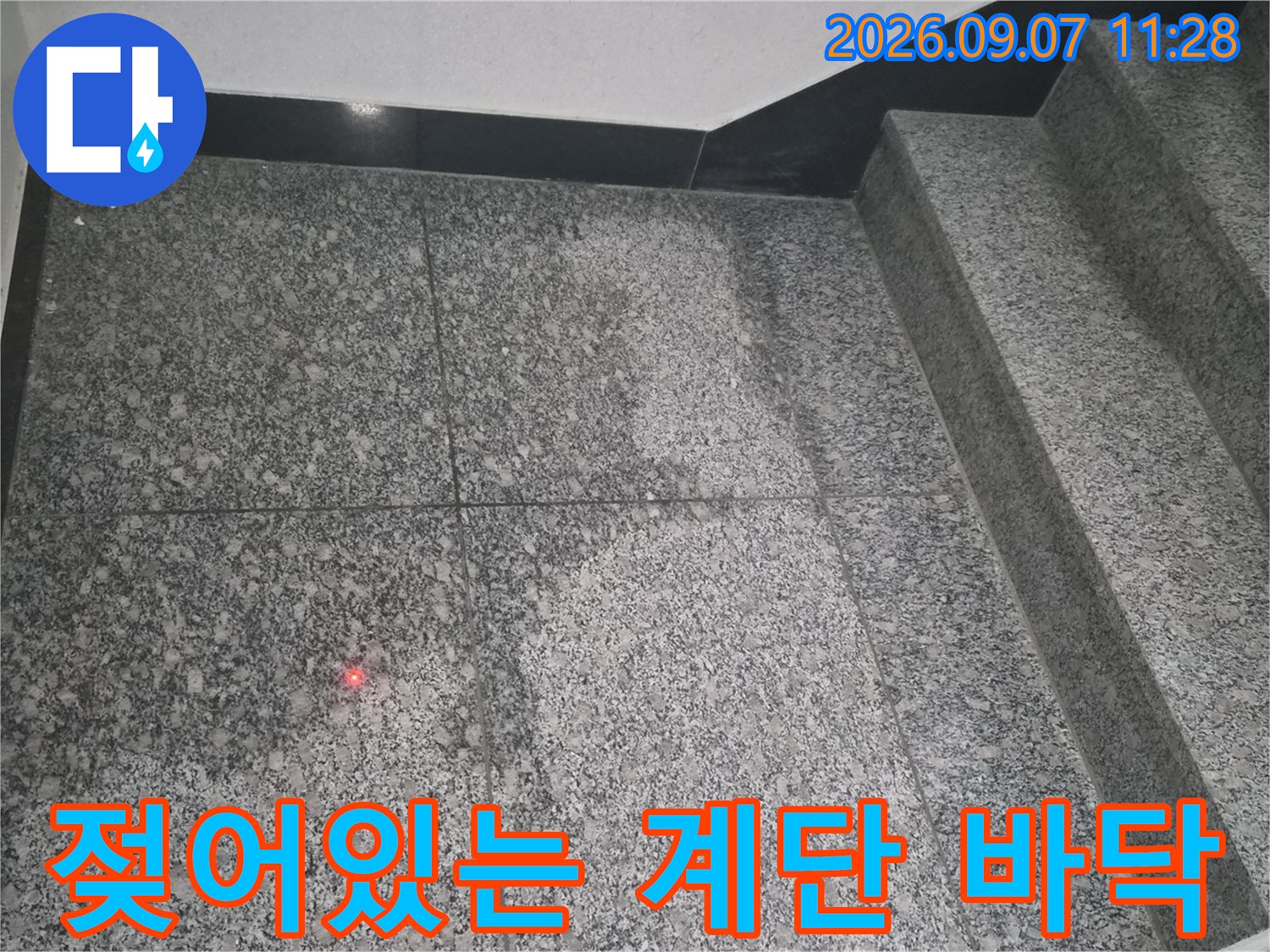 물기가 스며들어 어둡게 나타난 계단 바닥 타일의 모습입니다.