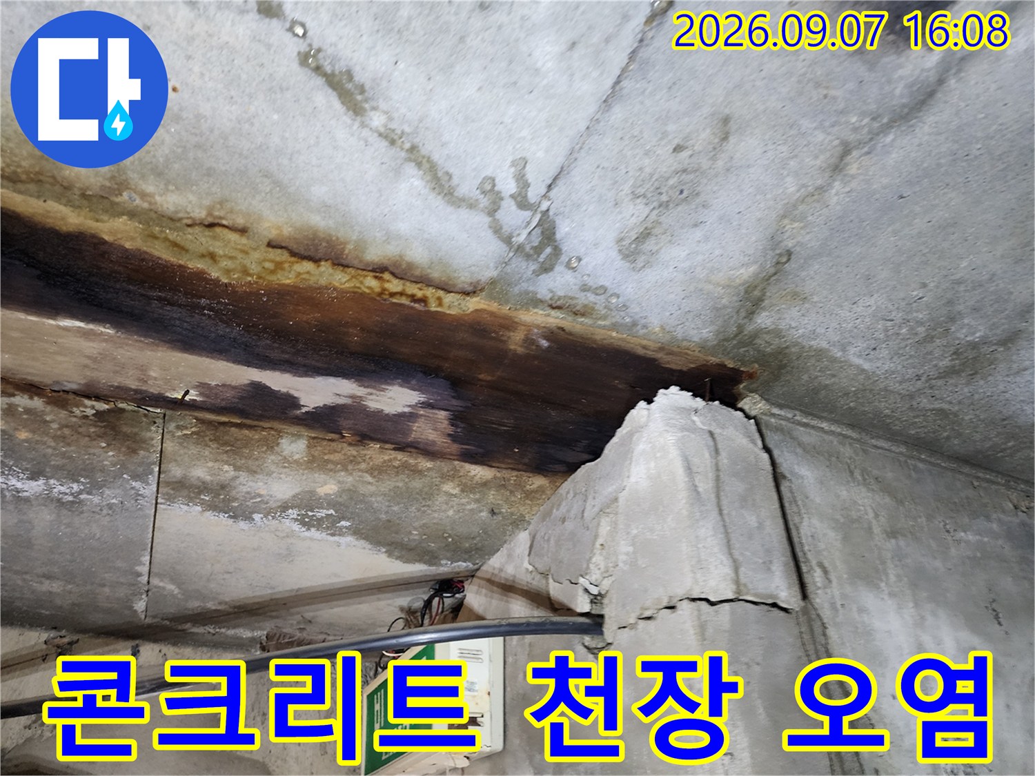 지하층 천장 콘크리트 슬라브의 젖은 부위와 변색된 얼룩