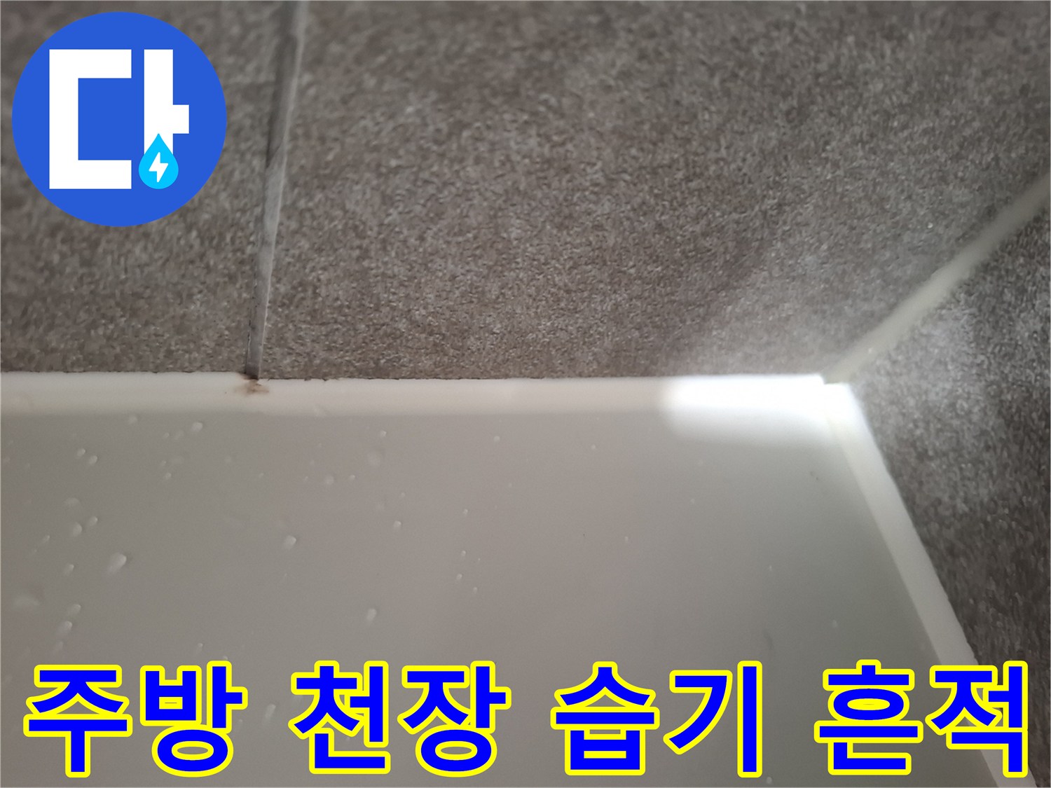 중원구 하대한동-주방 천장 및 벽면의 습기 번짐 현상