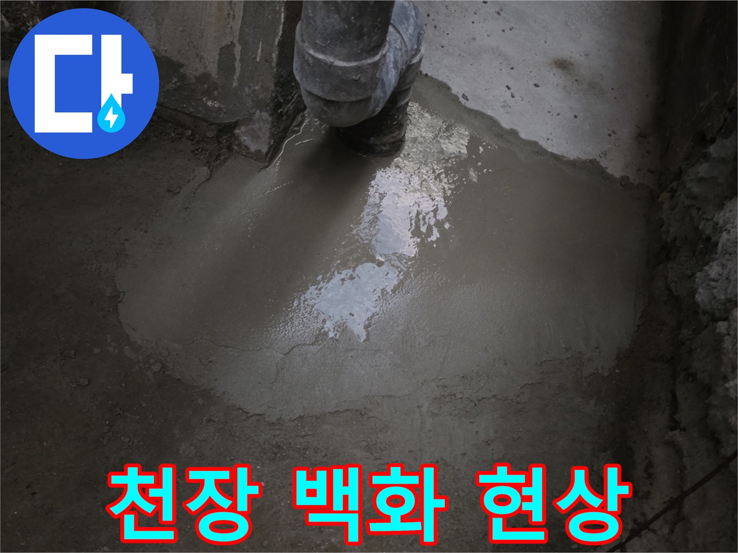강서구 화곡동 지하 공간 콘크리트 천장에 나타난 하얀 백화 현상과 물길 흔적