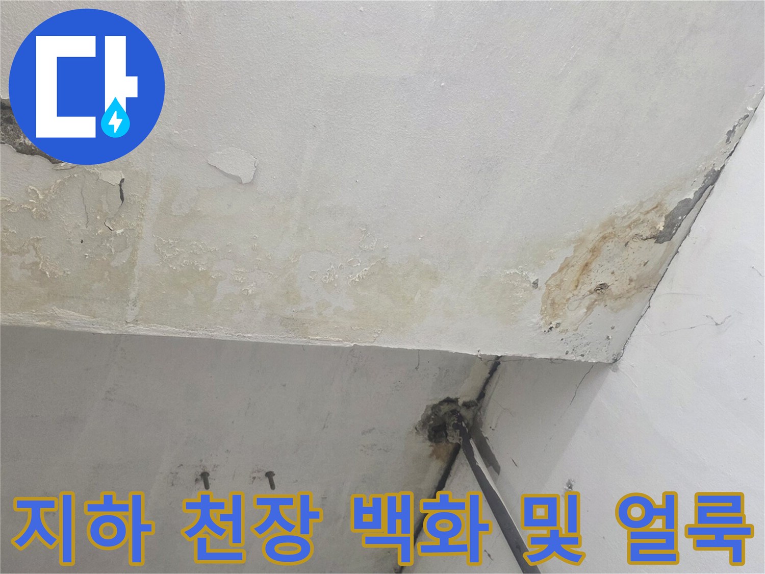 물길이 지나간 흔적과 하얀 백화가 나타난 지하 천장 부위