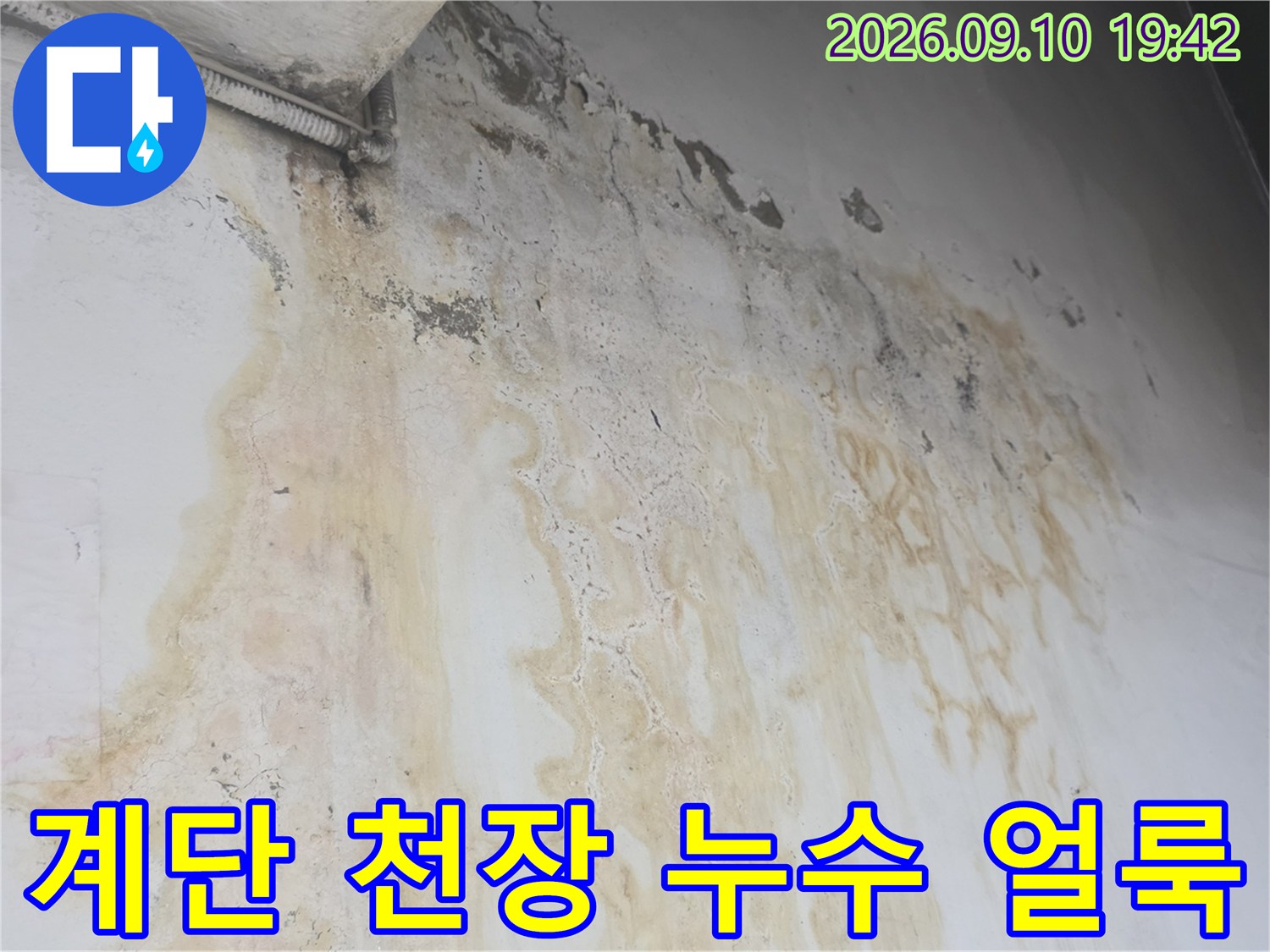 지하 계단실 천장 배관 주변의 누수 및 물자국 현황