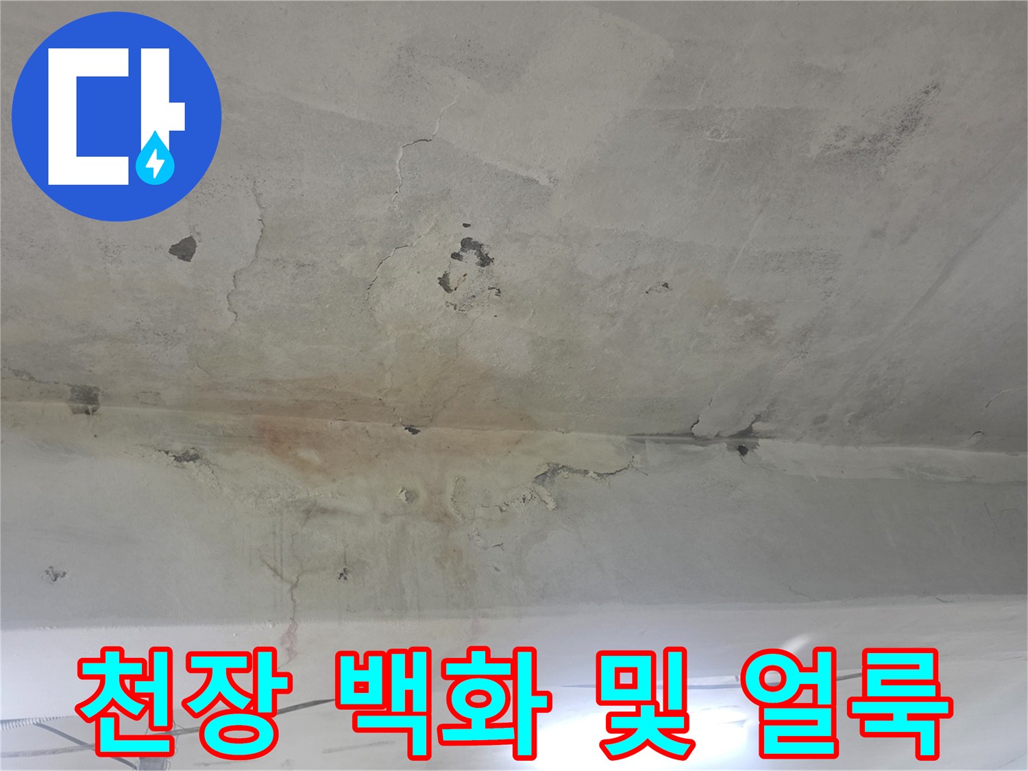 하얀 백화와 물길 흔적이 남은 지하 천장 면