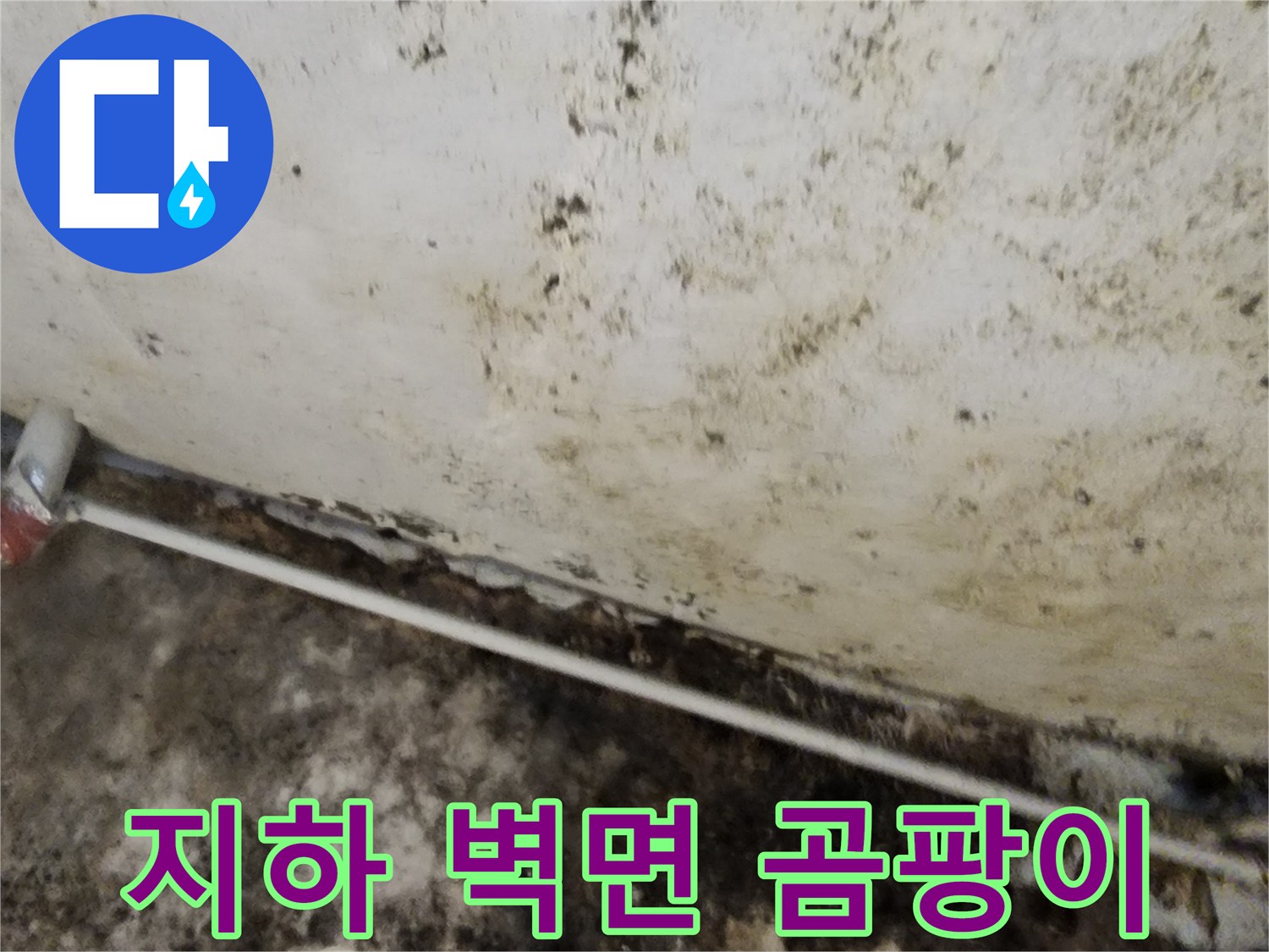 누수 피해로 인해 곰팡이가 발생한 지하실 벽면 부위