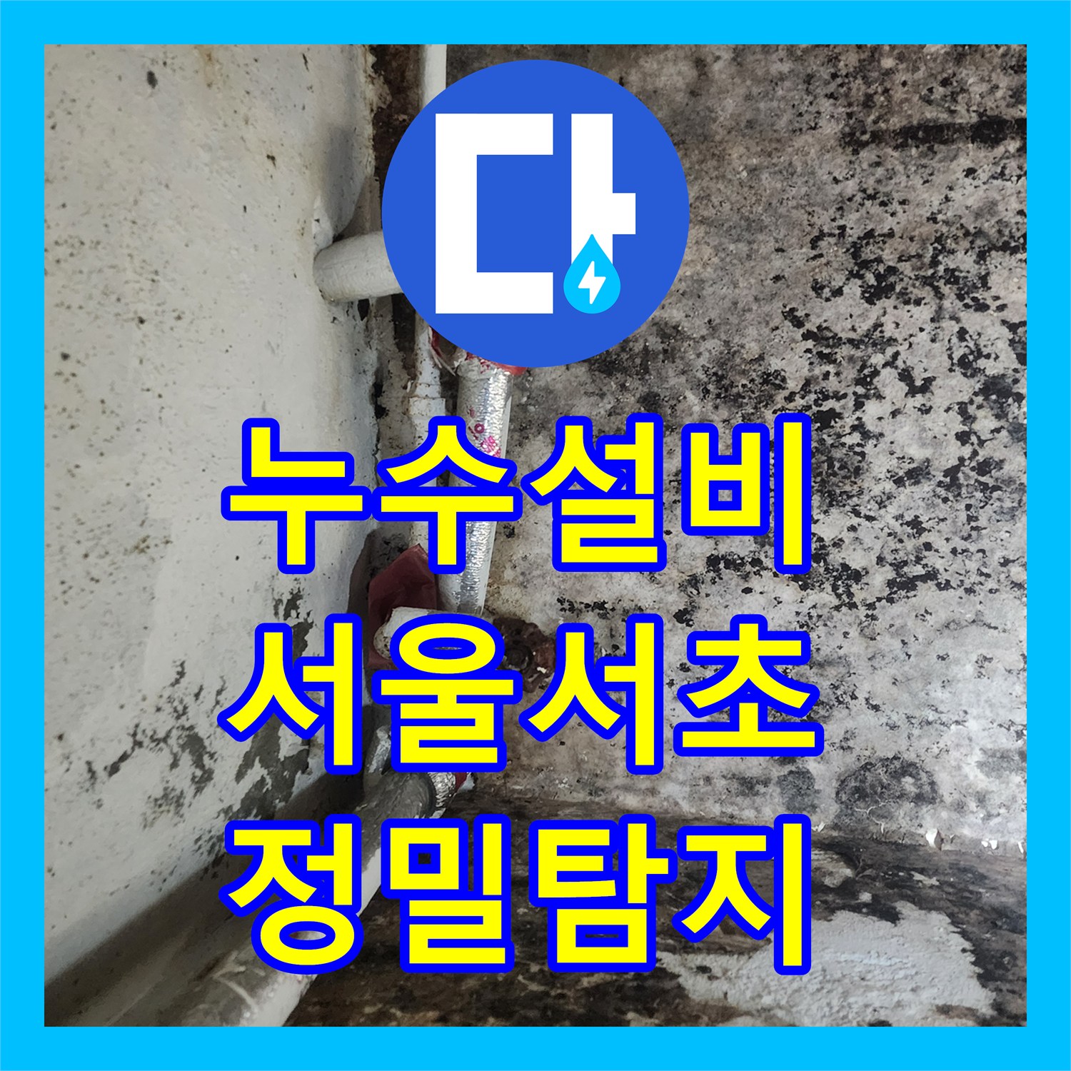 누수설비 지하실 천장 누수를 잡기 위해 마당 PE 배관을 정밀 탐지하고 수리한 서울 서초구 염곡동