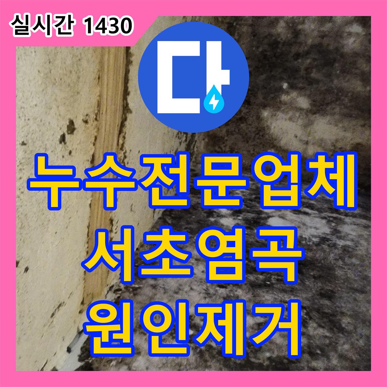 누수전문업체 지하실 천장 습기와 곰팡이의 원인이 된 마당 배관을 찾아 수리한 서울 서초구 염곡동 현장