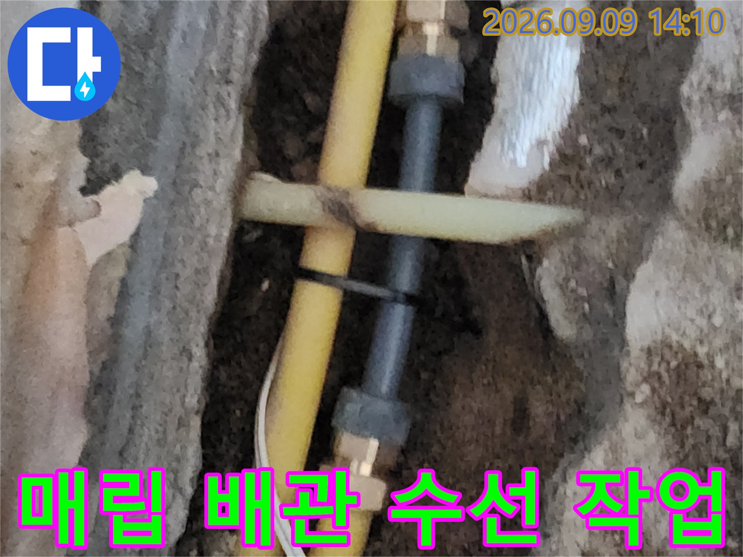 땅을 파서 노출시킨 노란색 배관의 연결 부위 교체 모습입니다.