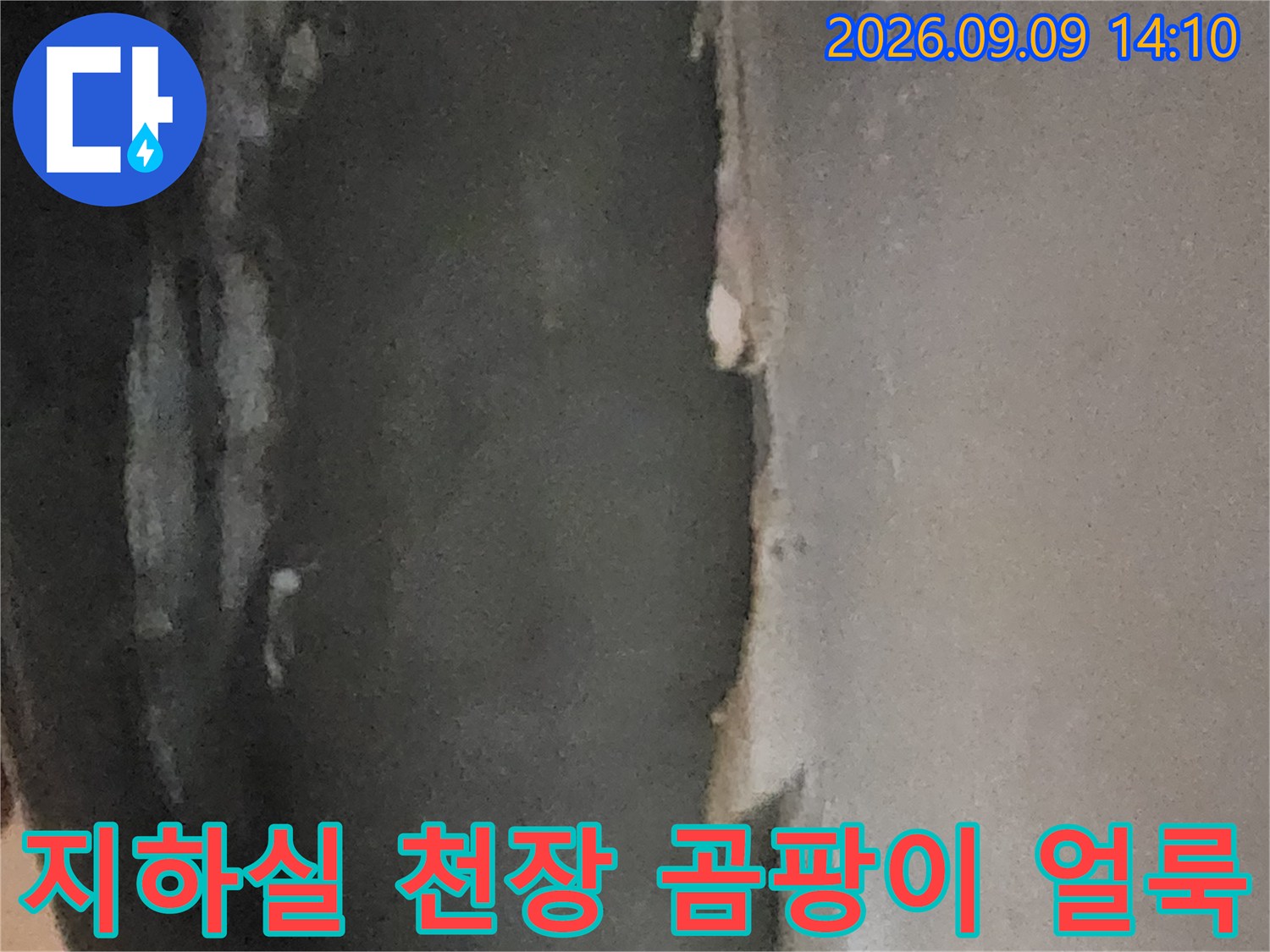 서초구 염곡동 지하실-천장 누수로 인한 곰팡이와 얼룩 상태