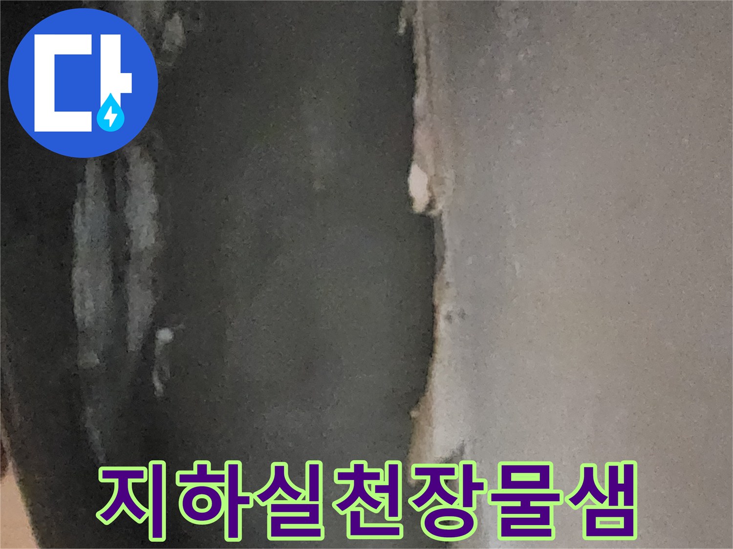 서초구 염곡동 지하실 천장의 물샘 흔적과 젖은 마감재 상태