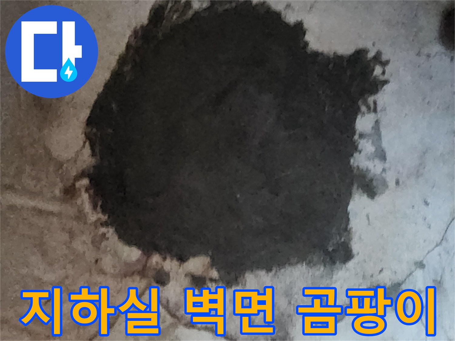 서초구 염곡동 현장의 지하실 벽면 곰팡이와 습기 상태