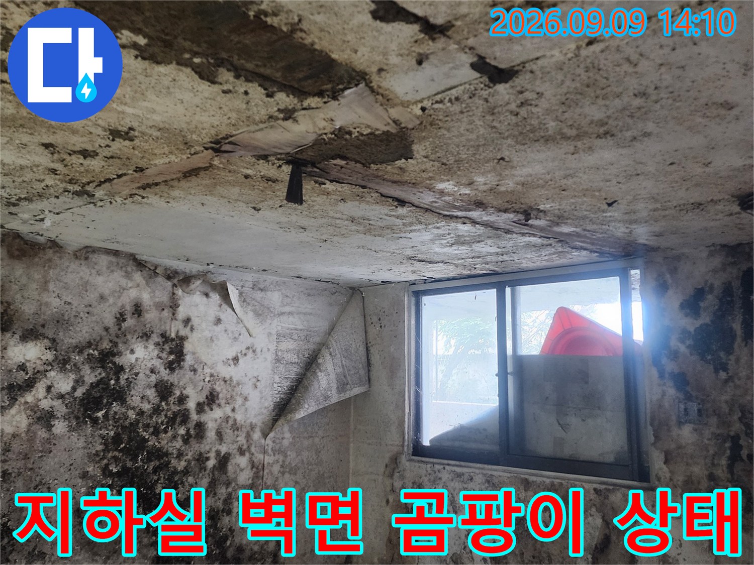 서초구 염곡이동 지하실 벽면에 심하게 발생한 곰팡이와 습기 흔적입니다.
