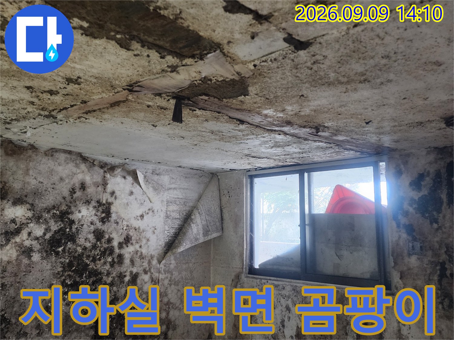 습기와 곰팡이가 가득한 지하실 창가 주변 벽면 상태