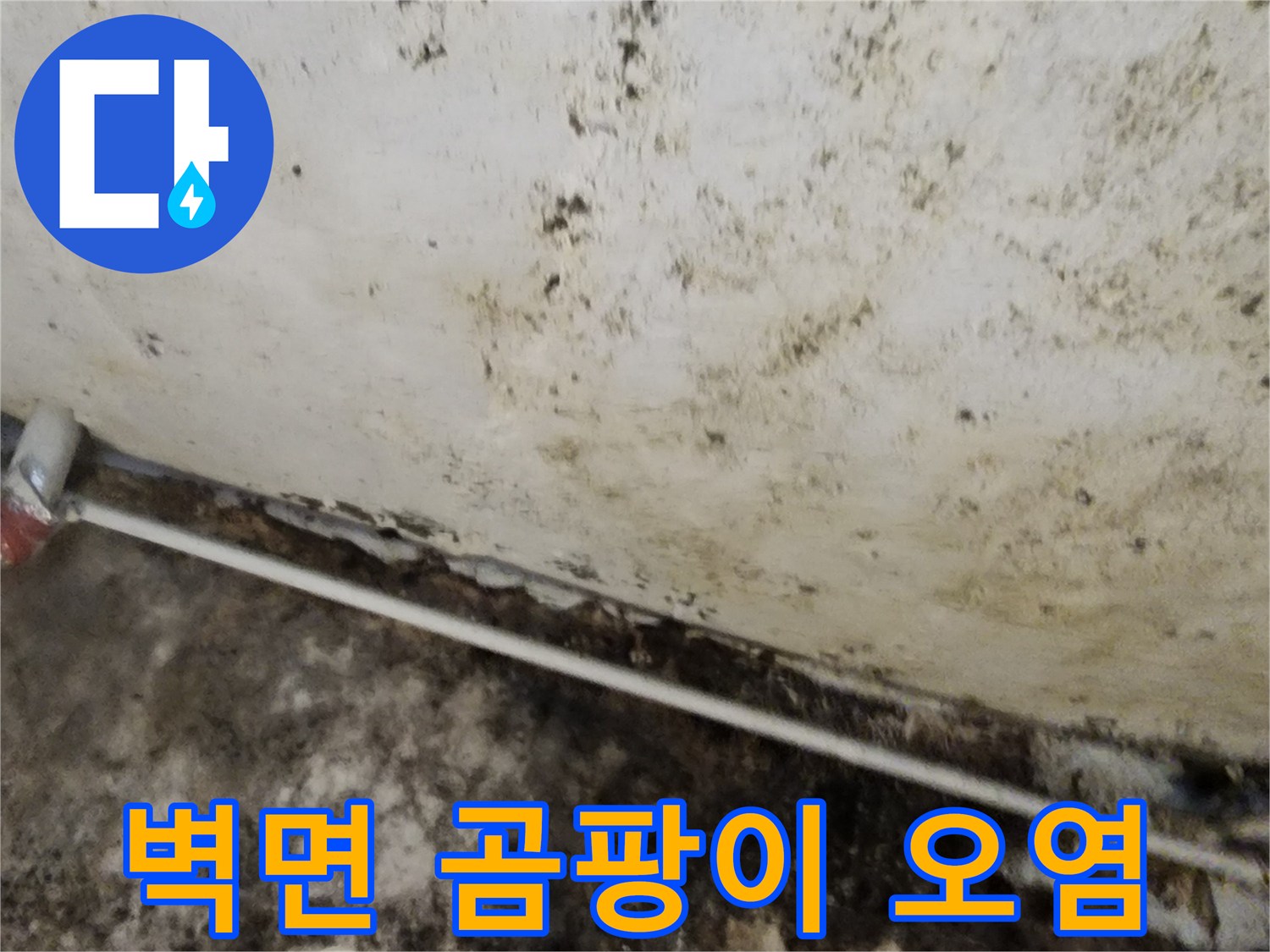 심한 누수로 인해 곰팡이가 번진 지하 벽면의 모습
