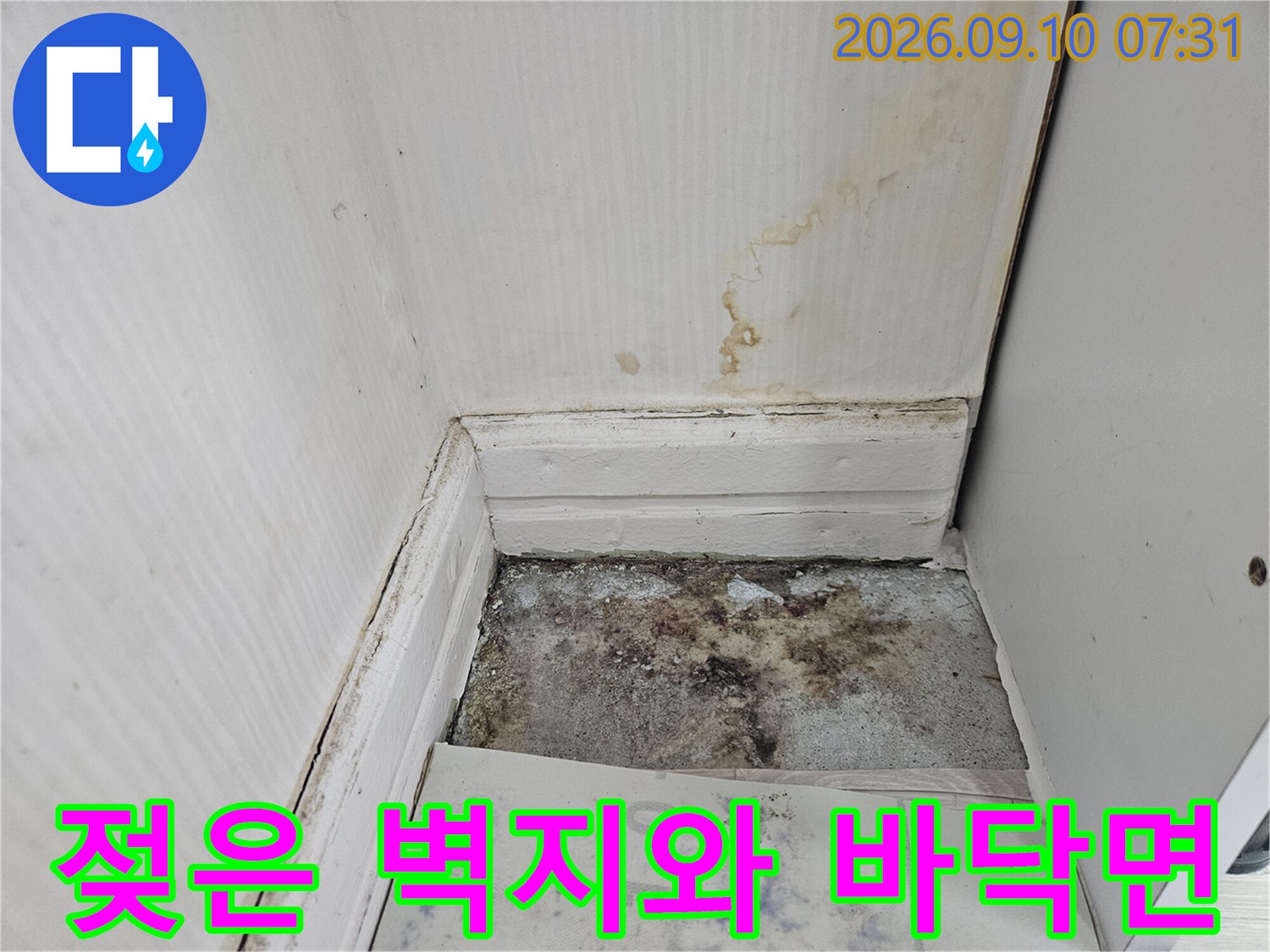 벽지 하단에 물자국이 남고 바닥재가 젖어 있는 모습입니다.