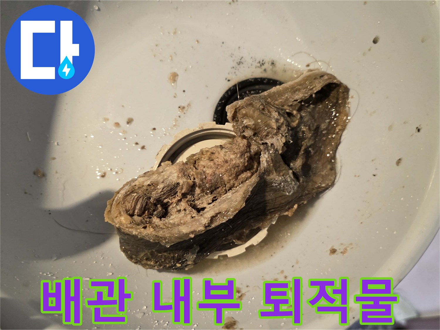 배수관-통로를-막고-있던-커다란-이물질-덩어리