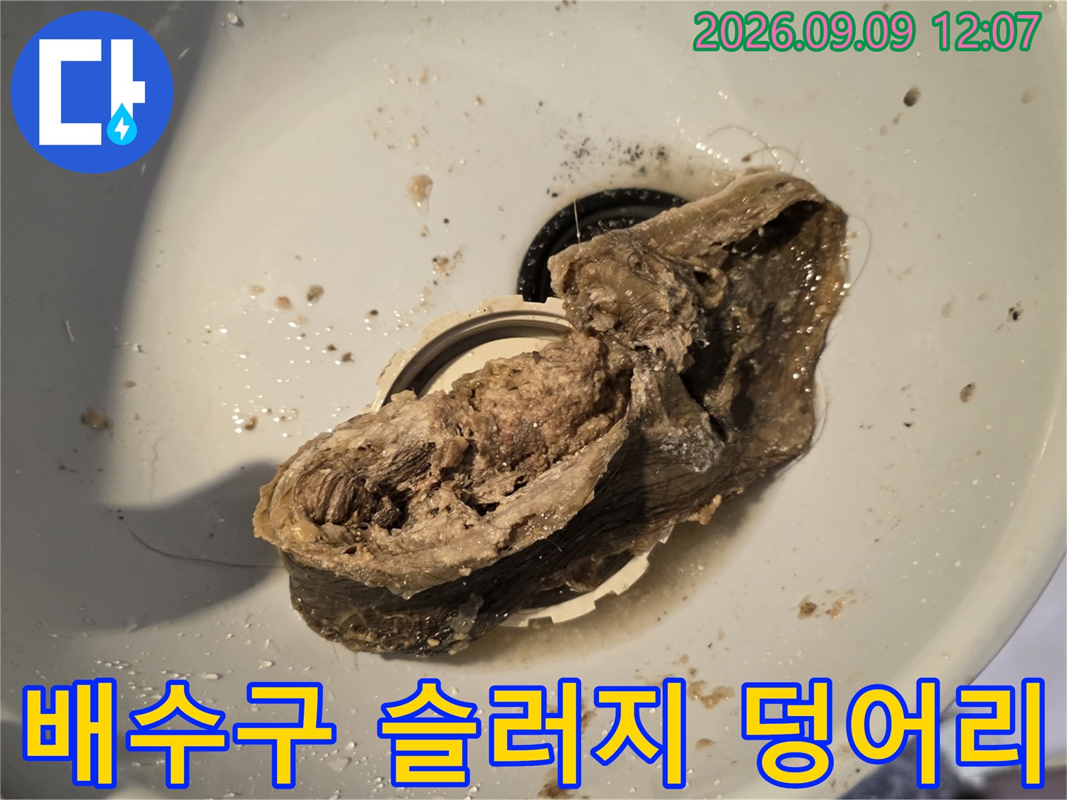 배수구 입구에 가득 찬 거대한 오염물질과 슬러지 덩어리