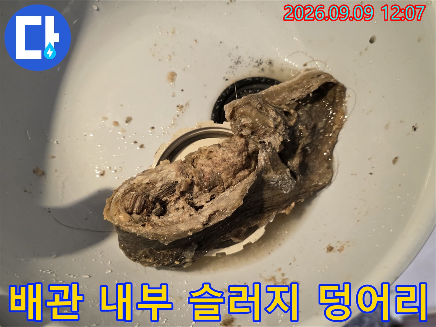 욕실 배수구 안쪽에서 발견된 거대한 머리카락과 이물질 슬러지 덩어리