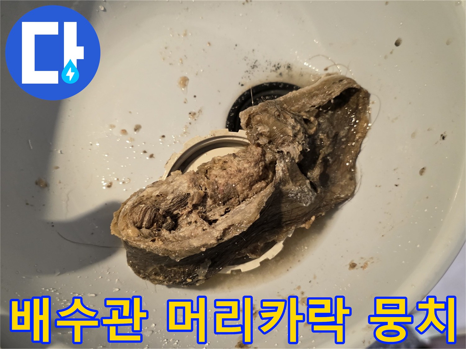 추출된-배수관-내부의-심각한-이물질-퇴적물