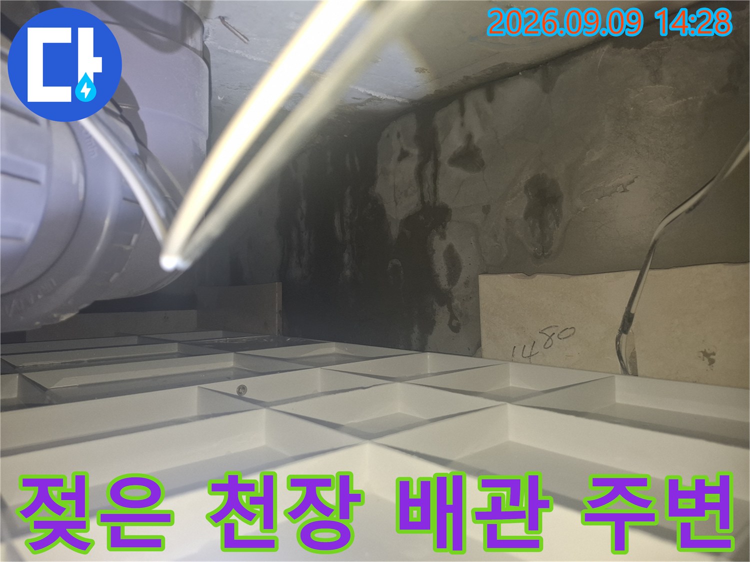배관 주위로 번진 물자국과 젖어 있는 천장 내부 마감재