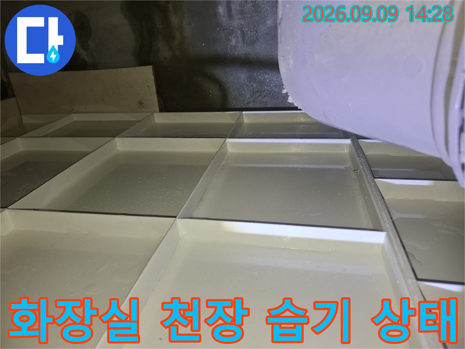 양주 삼숭동 화장실 천장 내부의 습기와 오염된 상태를 보여주는 사진입니다.