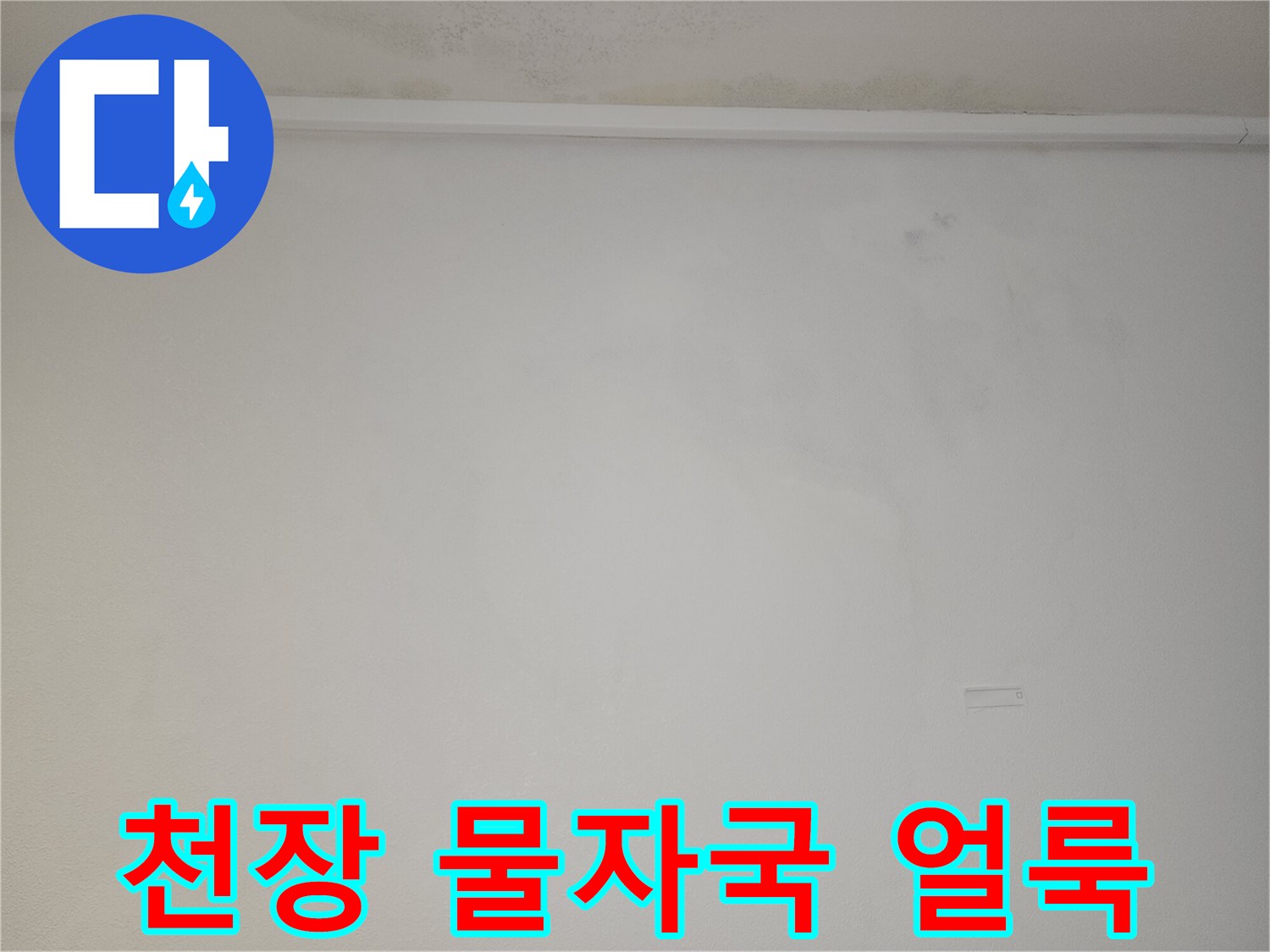 도화동 아파트 천장 벽지 변색 및 물자국 현상