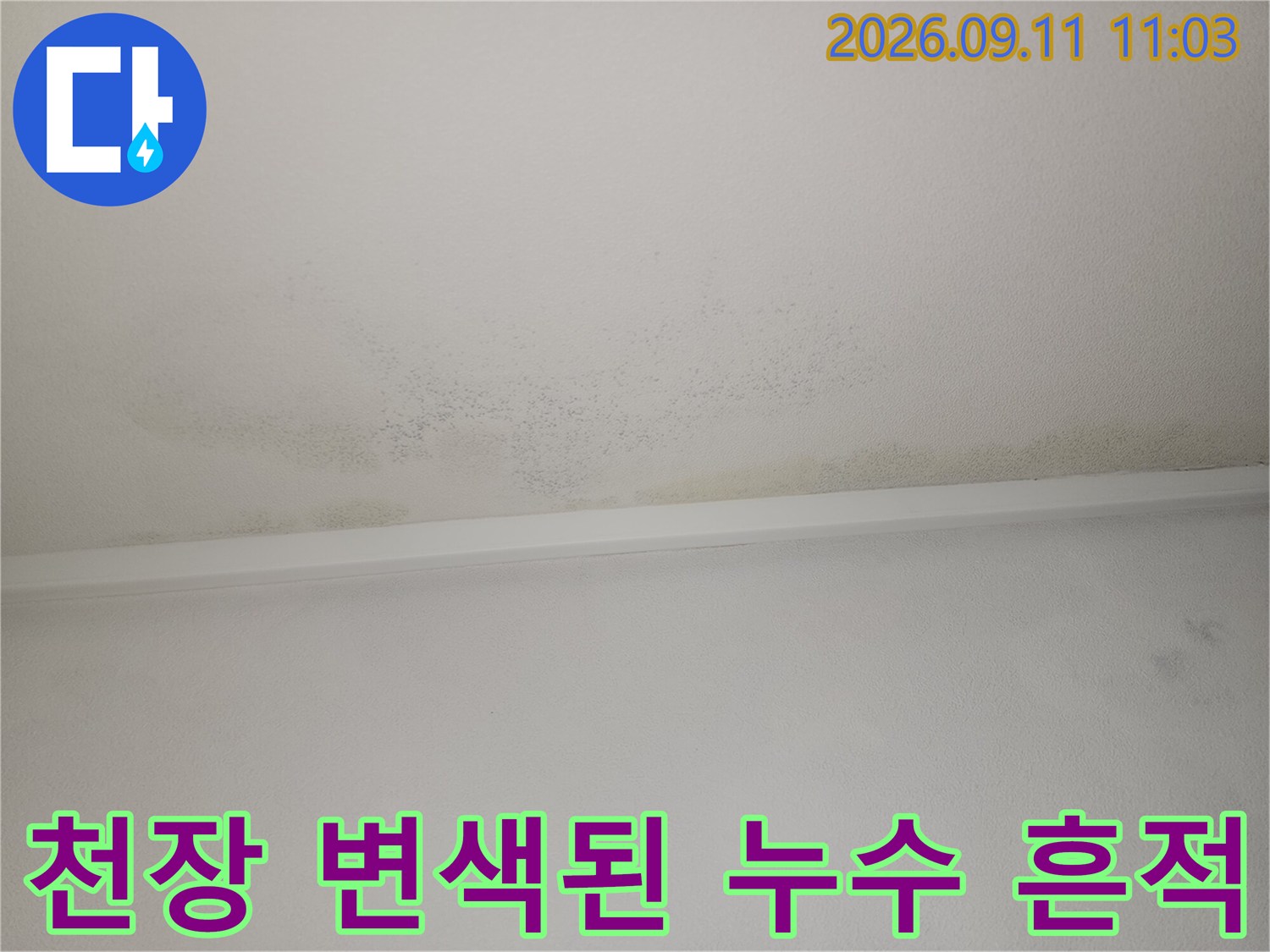 안방 화장실 천장 부근에 발생한 광범위한 누수 흔적과 얼룩 상태